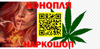 гашик Краснознаменск