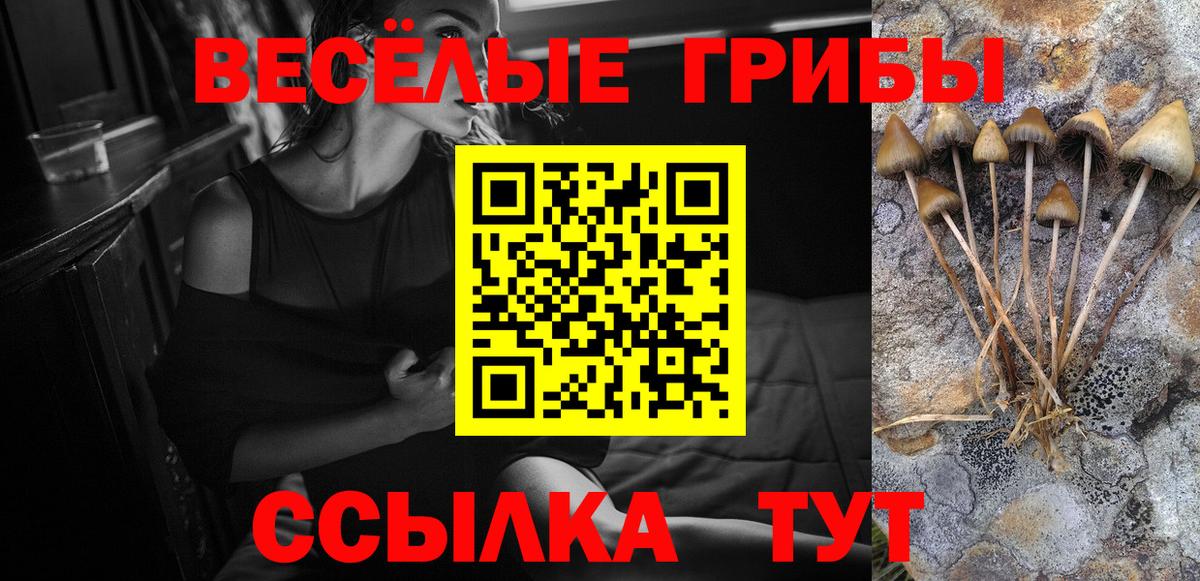 Псилоцибиновые грибы MAGIC MUSHROOMS Армавир