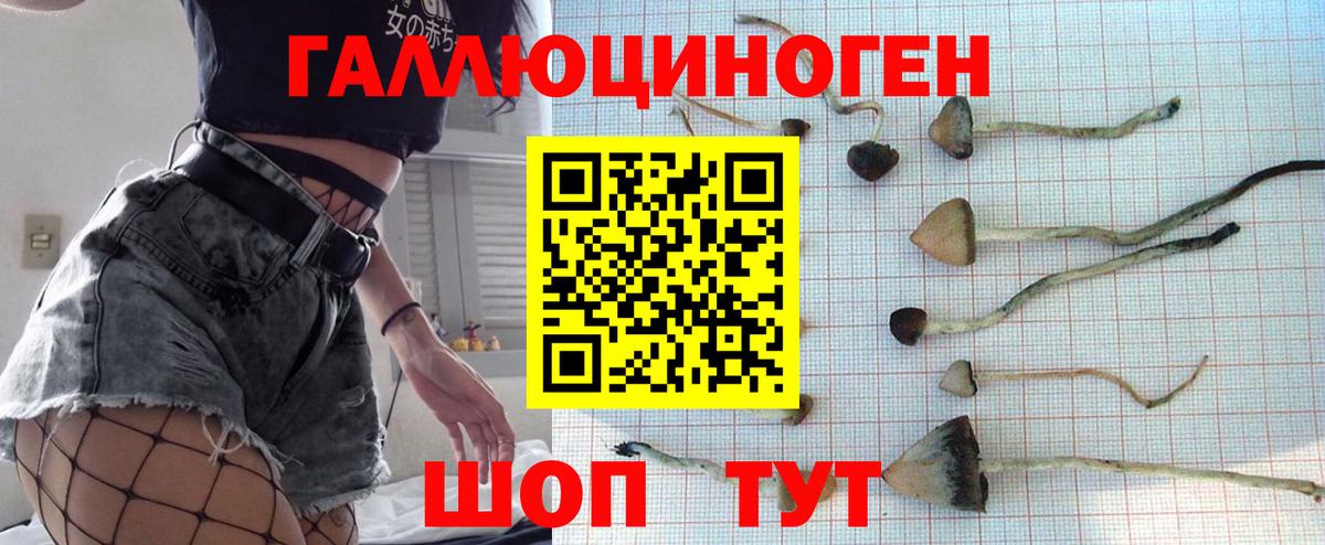 Галлюциногенные грибы прущие грибы  Вход с VPN  Псилоцибиновые грибы MAGIC MUSHROOMS  Армавир 